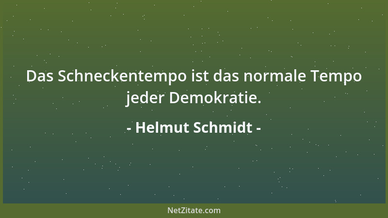 Helmut Schmidt - Das Schneckentempo ist das normale Tempo jeder Demokratie....