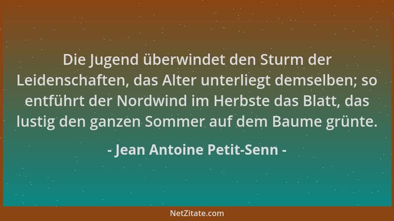 Jean Antoine Petit-Senn - Die Jugend überwindet den Sturm der Leidenschaften, das Alter unterliegt demselben; so entführt d...