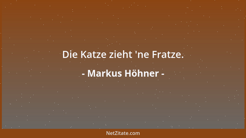 Markus Höhner - Die Katze zieht  'ne Fratze....