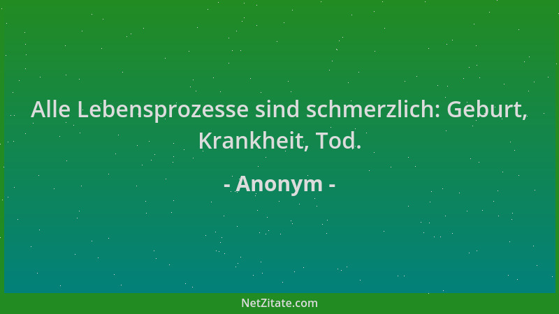 Anonym - Alle Lebensprozesse sind schmerzlich: Geburt, Krankheit, Tod....
