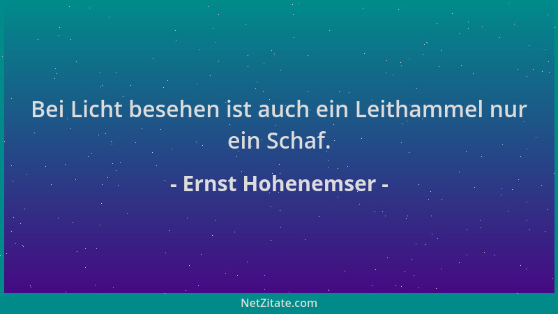 Ernst Hohenemser - Bei Licht besehen ist auch ein Leithammel nur ein Schaf....