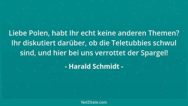 Harald Schmidt - Liebe Polen, habt Ihr echt keine anderen Themen? Ihr diskutiert darüber, ob die Teletubbies schwul sind, u...