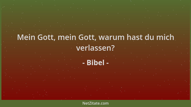 Bibel - Mein Gott, mein Gott, warum hast du mich verlassen?...