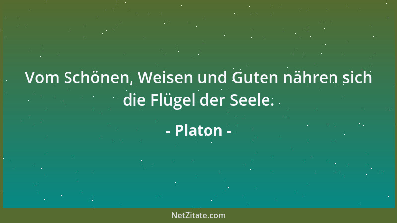 Platon - Vom Schönen, Weisen und Guten nähren sich die Flügel der Seele....