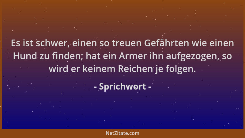 Sprichwort - Es ist schwer, einen so treuen Gefährten wie einen Hund zu finden; hat ein Armer ihn aufgezogen, so wird er ke...