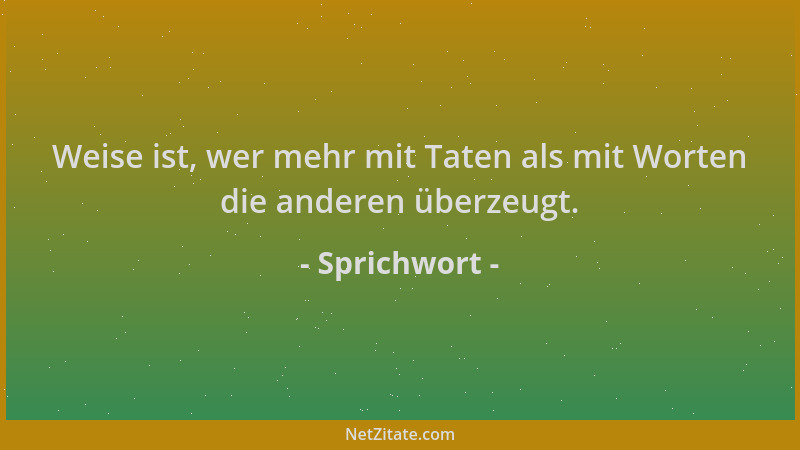 Sprichwort - Weise ist, wer mehr mit Taten als mit Worten die anderen überzeugt....