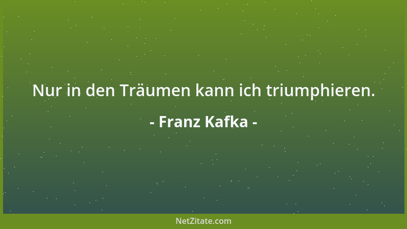Franz Kafka - Die Sünde kommt immer offen und ist mit den Sinnen gleich zu fassen. Sie geht auf ihren Wurzeln und muß nicht...