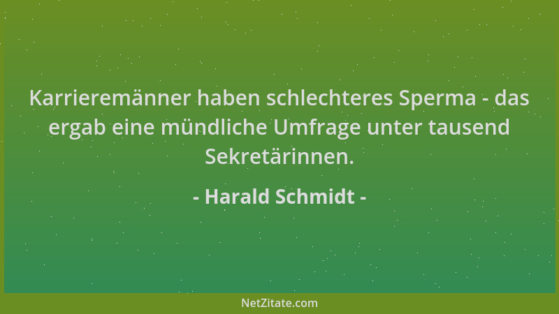 Harald Schmidt - Karrieremänner haben schlechteres Sperma - das ergab eine mündliche Umfrage unter tausend Sekretärinnen....