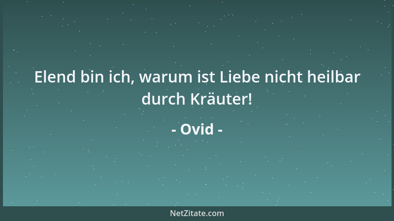 Ovid - Elend bin ich, warum ist Liebe nicht heilbar durch Kräuter!...