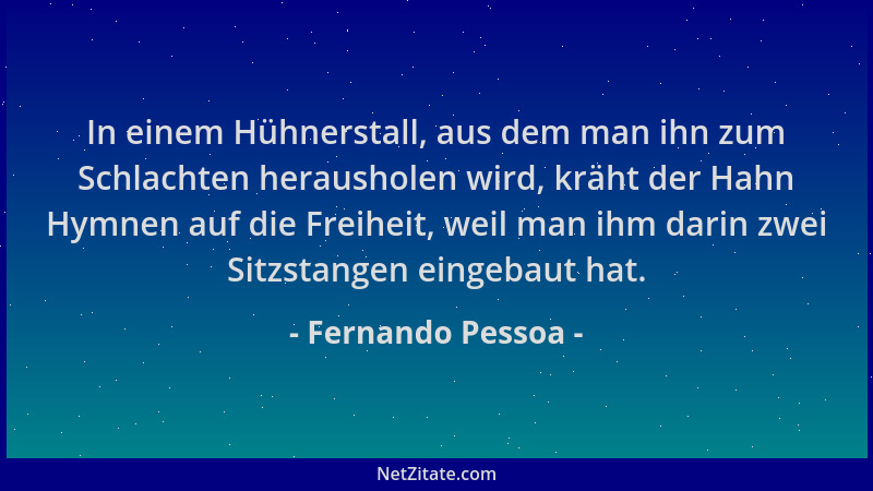 Fernando Pessoa - In einem Hühnerstall, aus dem man ihn zum Schlachten herausholen wird, kräht der Hahn Hymnen auf die Frei...
