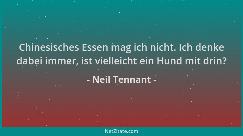 Neil Tennant - Chinesisches Essen mag ich nicht. Ich denke dabei immer, ist vielleicht ein Hund mit drin?...