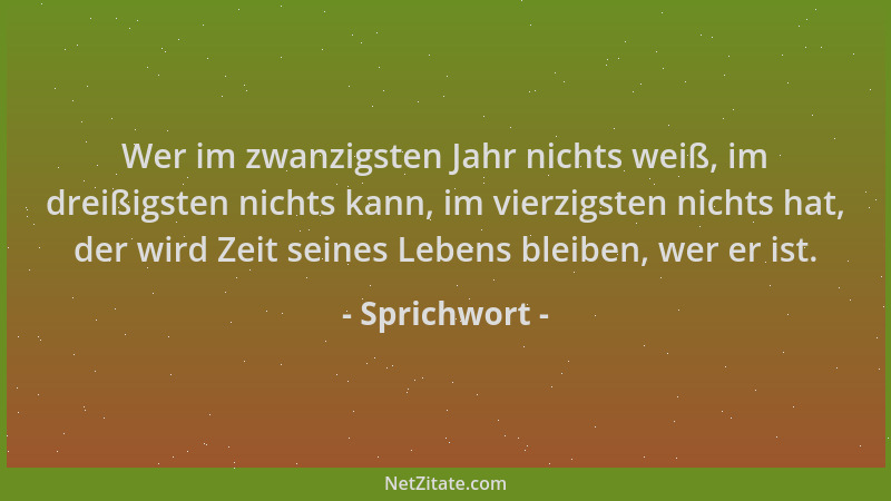 Sprichwort - Wer im zwanzigsten Jahr nichts weiß, im dreißigsten nichts kann, im vierzigsten nichts hat, der wird Zeit sein...