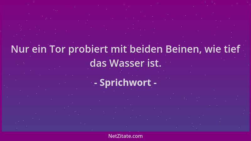 Sprichwort - Nur ein Tor probiert mit beiden Beinen, wie tief das Wasser ist....