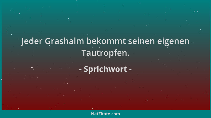 Sprichwort - Jeder Grashalm bekommt seinen eigenen Tautropfen....