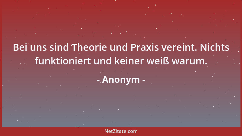Anonym - Bei uns sind Theorie und Praxis vereint. Nichts funktioniert und keiner weiß warum....