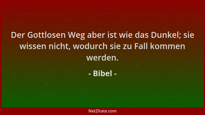 Bibel - Der Gottlosen Weg aber ist wie das Dunkel; sie wissen nicht, wodurch sie zu Fall kommen werden....