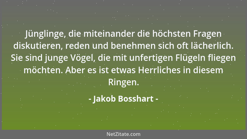 Jakob Bosshart - Jünglinge, die miteinander die höchsten Fragen diskutieren, reden und benehmen sich oft lächerlich. Sie si...