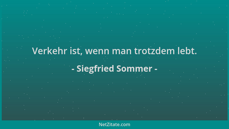 Siegfried Sommer - Verkehr ist, wenn man trotzdem lebt....