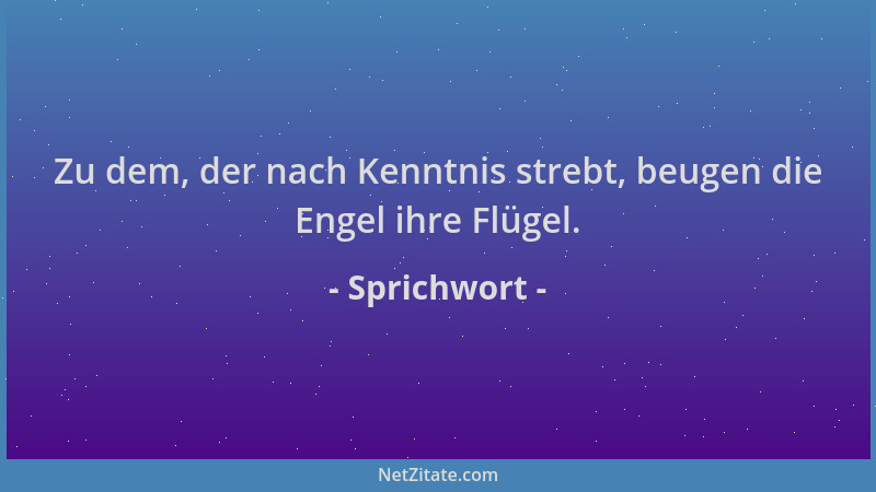 Sprichwort - Zu dem, der nach Kenntnis strebt, beugen die Engel ihre Flügel....