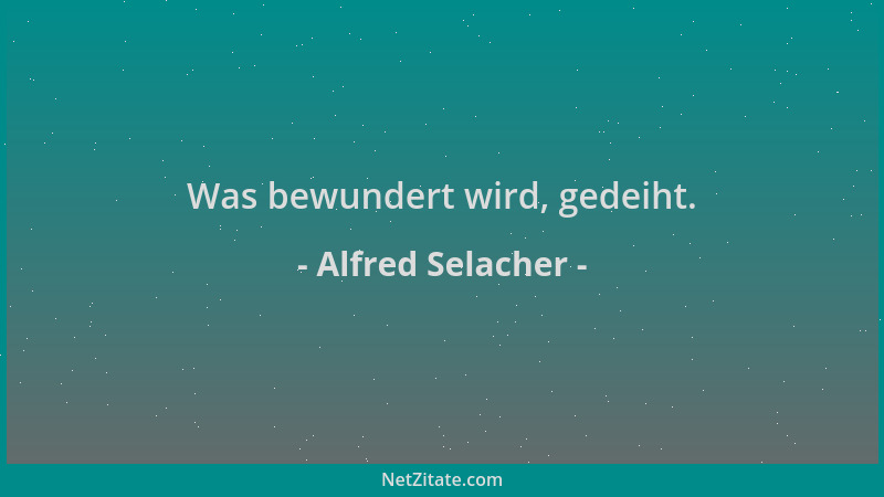 Alfred Selacher - Was bewundert wird, gedeiht....