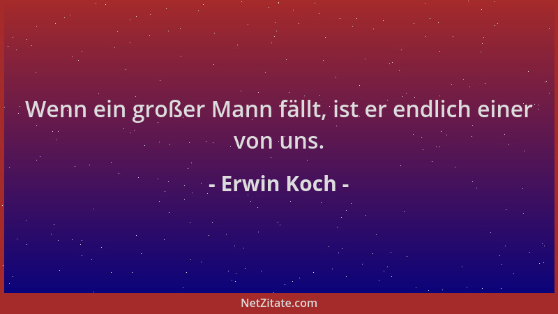 Erwin Koch - Wenn ein großer Mann fällt, ist er endlich einer von uns....