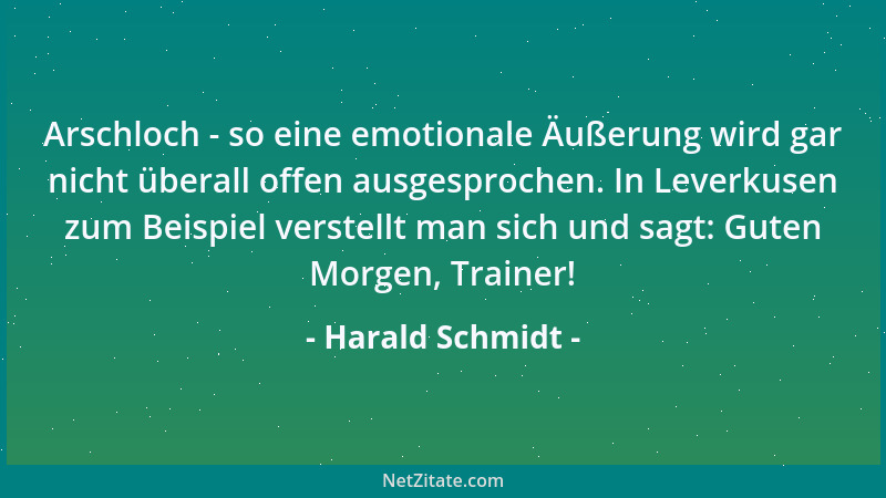 Harald Schmidt - Arschloch - so eine emotionale Äußerung wird gar nicht überall offen ausgesprochen. In Leverkusen zum Beis...