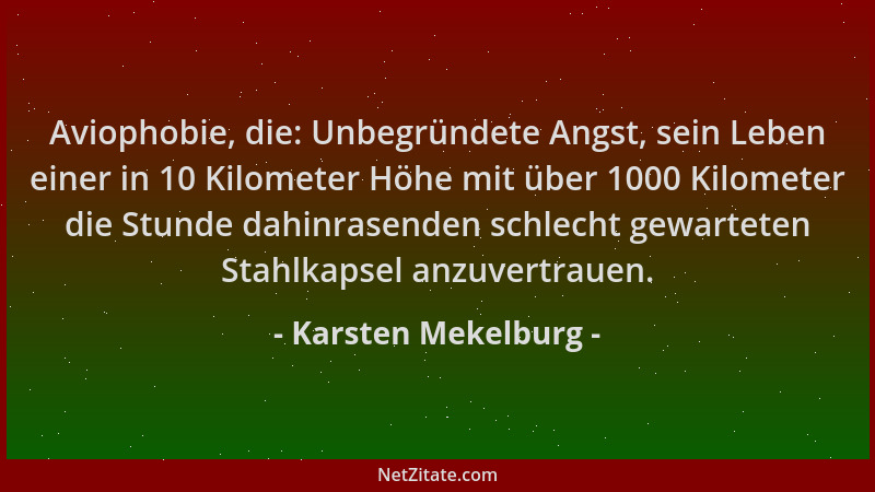 Karsten Mekelburg - Aviophobie, die: Unbegründete Angst, sein Leben einer in 10 Kilometer Höhe mit über 1000 Kilometer die...