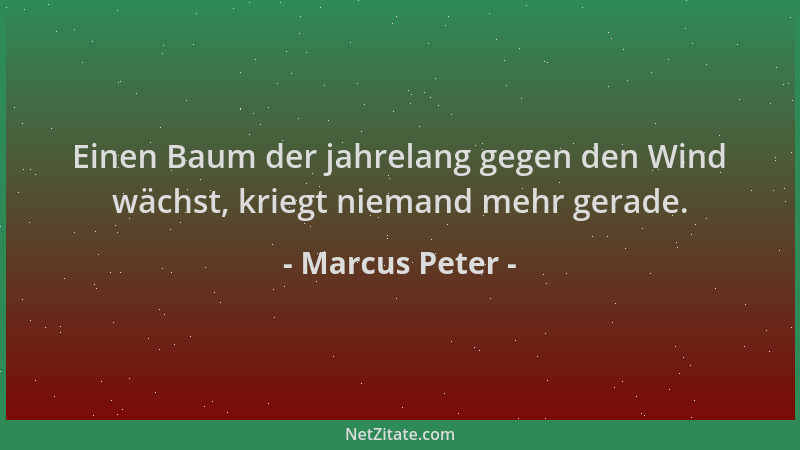 Marcus Peter - Einen Baum der jahrelang gegen den Wind wächst, kriegt niemand mehr gerade....