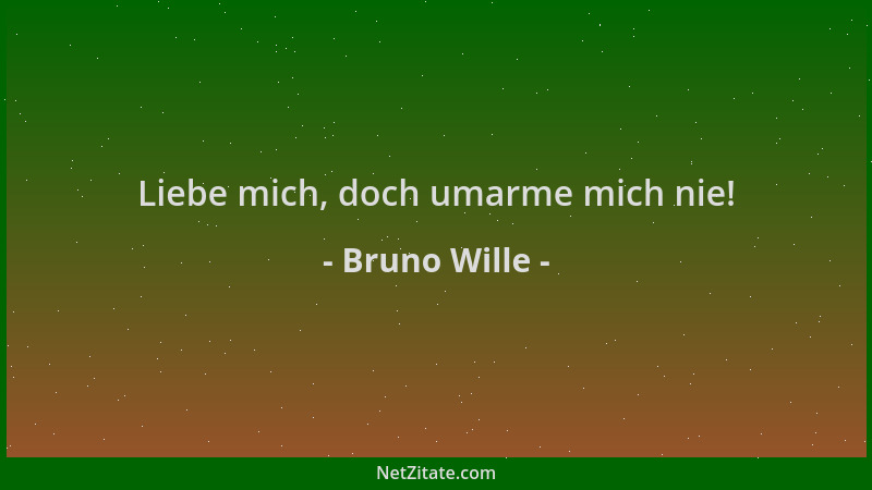 Bruno Wille - Liebe mich, doch umarme mich nie!...
