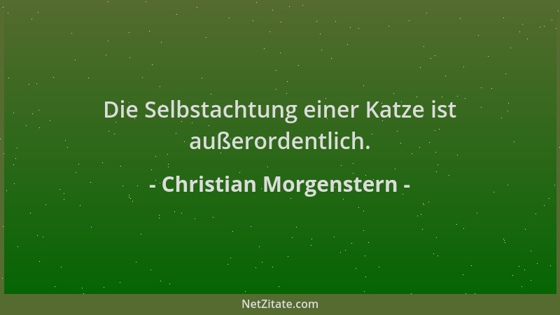 Christian Morgenstern - Die Selbstachtung einer Katze ist außerordentlich....