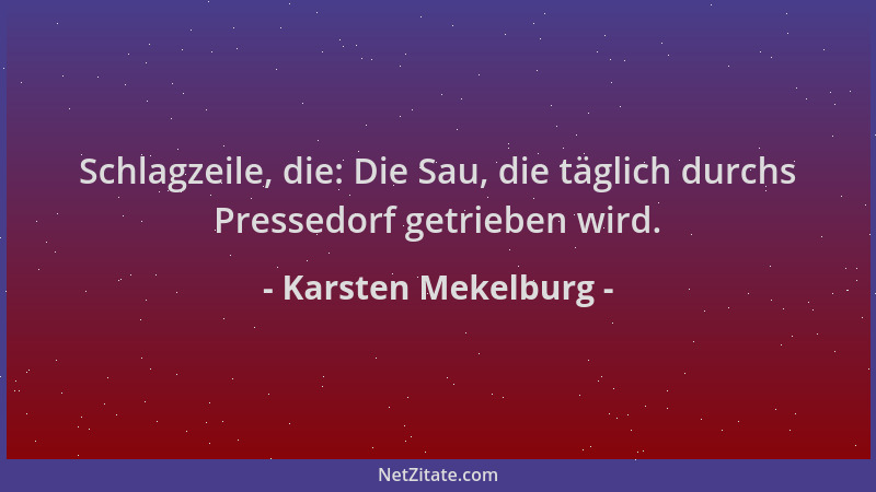 Karsten Mekelburg - Schlagzeile, die: Die Sau, die täglich durchs Pressedorf getrieben wird....