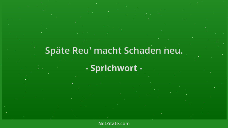 Sprichwort - Späte Reu ' macht Schaden neu....