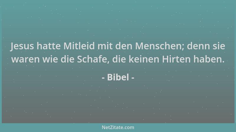 Bibel - Jesus hatte Mitleid mit den Menschen; denn sie waren wie die Schafe, die keinen Hirten haben....