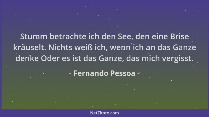 Fernando Pessoa - Stumm betrachte ich den See, den eine Brise kräuselt. Nichts weiß ich, wenn ich an das Ganze denke Oder e...