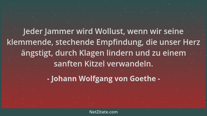 Johann Wolfgang von Goethe - Jeder Jammer wird Wollust, wenn wir seine klemmende, stechende Empfindung, die unser Herz ängs...