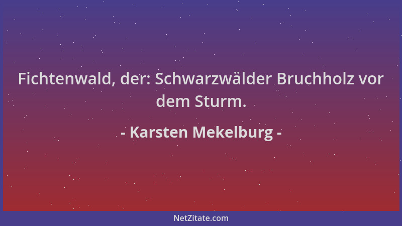 Karsten Mekelburg - Fichtenwald, der: Schwarzwälder Bruchholz vor dem Sturm....