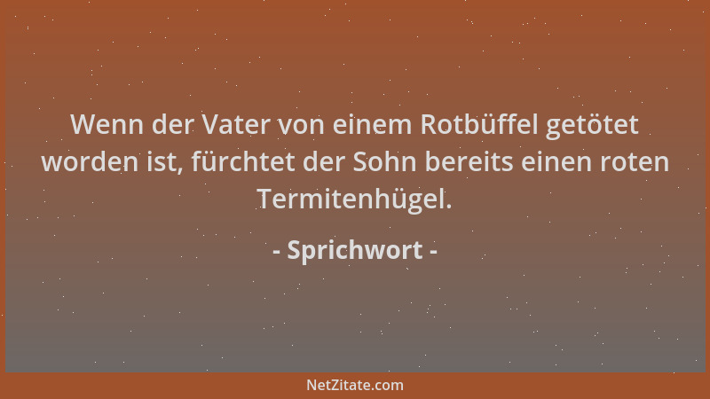 Sprichwort - Wenn der Vater von einem Rotbüffel getötet worden ist, fürchtet der Sohn bereits einen roten Termitenhügel....