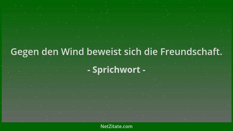 Sprichwort - Gegen den Wind beweist sich die Freundschaft....