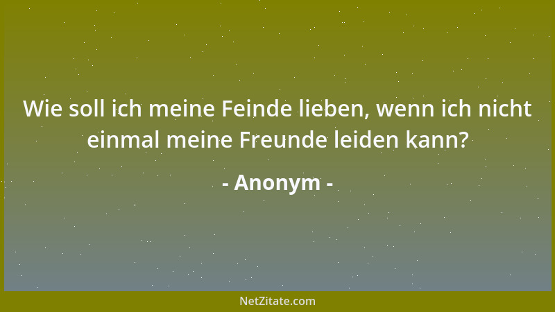 Anonym - Wie soll ich meine Feinde lieben, wenn ich nicht einmal meine Freunde leiden kann?...
