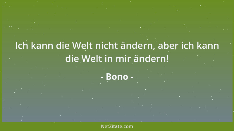 Bono - Ich kann die Welt nicht ändern, aber ich kann die Welt in mir ändern!...