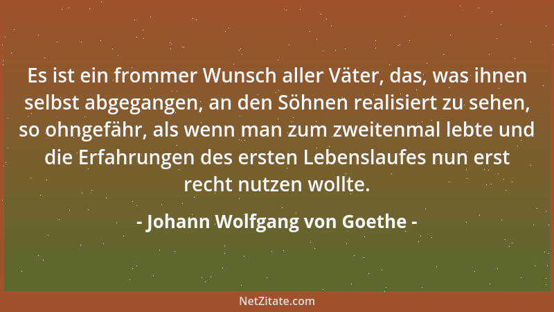 Johann Wolfgang von Goethe - Es ist ein frommer Wunsch aller Väter, das, was ihnen selbst abgegangen, an den Söhnen realisi...