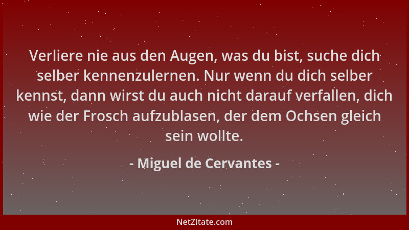 Miguel de Cervantes - Verliere nie aus den Augen, was du bist, suche dich selber kennenzulernen. Nur wenn du dich selber ke...