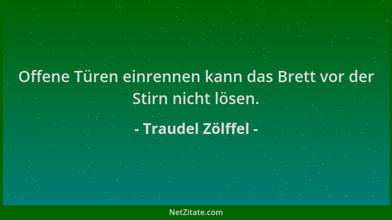 Traudel Zölffel - Offene Türen einrennen kann das Brett vor der Stirn nicht lösen....