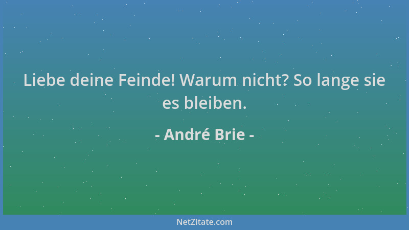 André Brie - Liebe deine Feinde! Warum nicht? So lange sie es bleiben....
