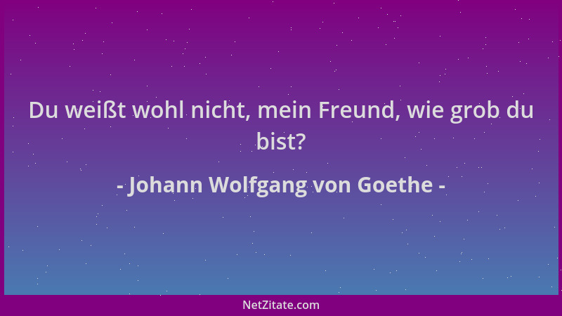 Johann Wolfgang von Goethe - Du weißt wohl nicht, mein Freund, wie grob du bist?...