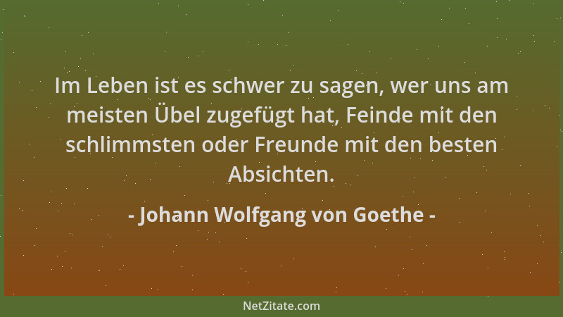 Johann Wolfgang von Goethe - Im Leben ist es schwer zu sagen, wer uns am meisten Übel zugefügt hat, Feinde mit den schlimms...