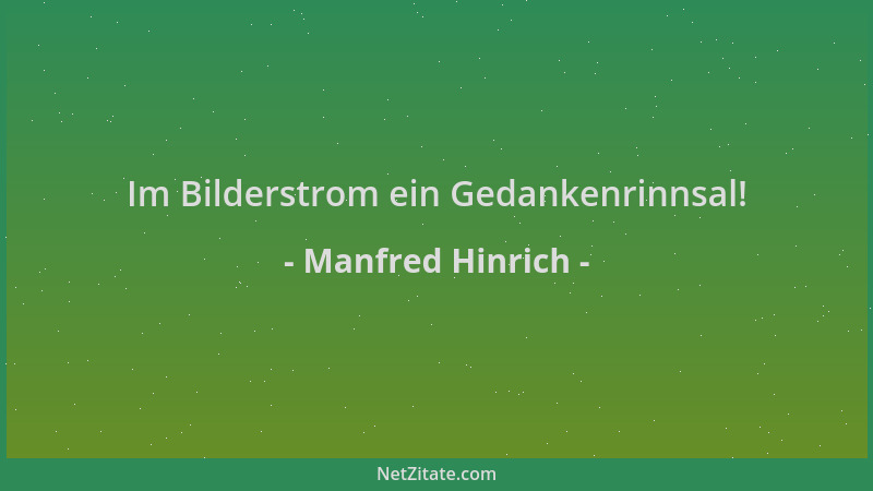 Manfred Hinrich - Im Bilderstrom ein Gedankenrinnsal!...