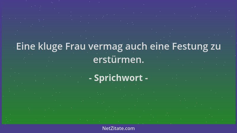 Sprichwort - Eine kluge Frau vermag auch eine Festung zu erstürmen....