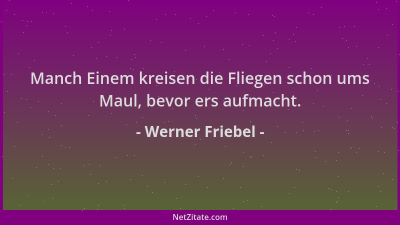 Werner Friebel - Manch Einem kreisen die Fliegen schon ums Maul, bevor ers aufmacht....