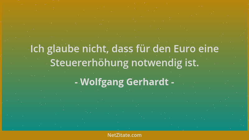 Wolfgang Gerhardt - Ich glaube nicht, dass für den Euro eine Steuererhöhung notwendig ist....